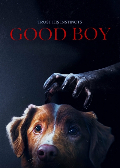 Filmplakat GOOD BOY 